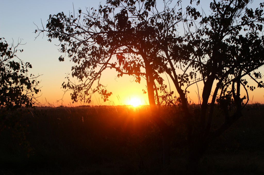 Sunrise in Moremi Game Reserve, Botswana