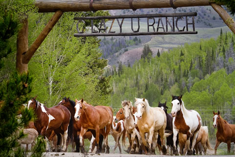 Photo Courtesy of C Lazy U Ranch