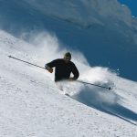 DV 039 Skier