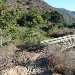 Emerald Canyon – credits to Laguna Canyon Foundation