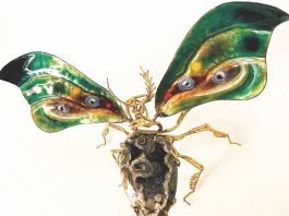 The Lovebug Collection by Julie Setterholm header