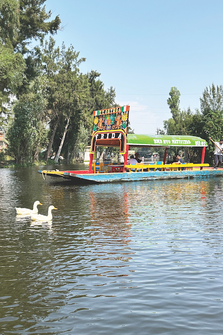 floating gardens of Xochimilco_cr Sharon Stello